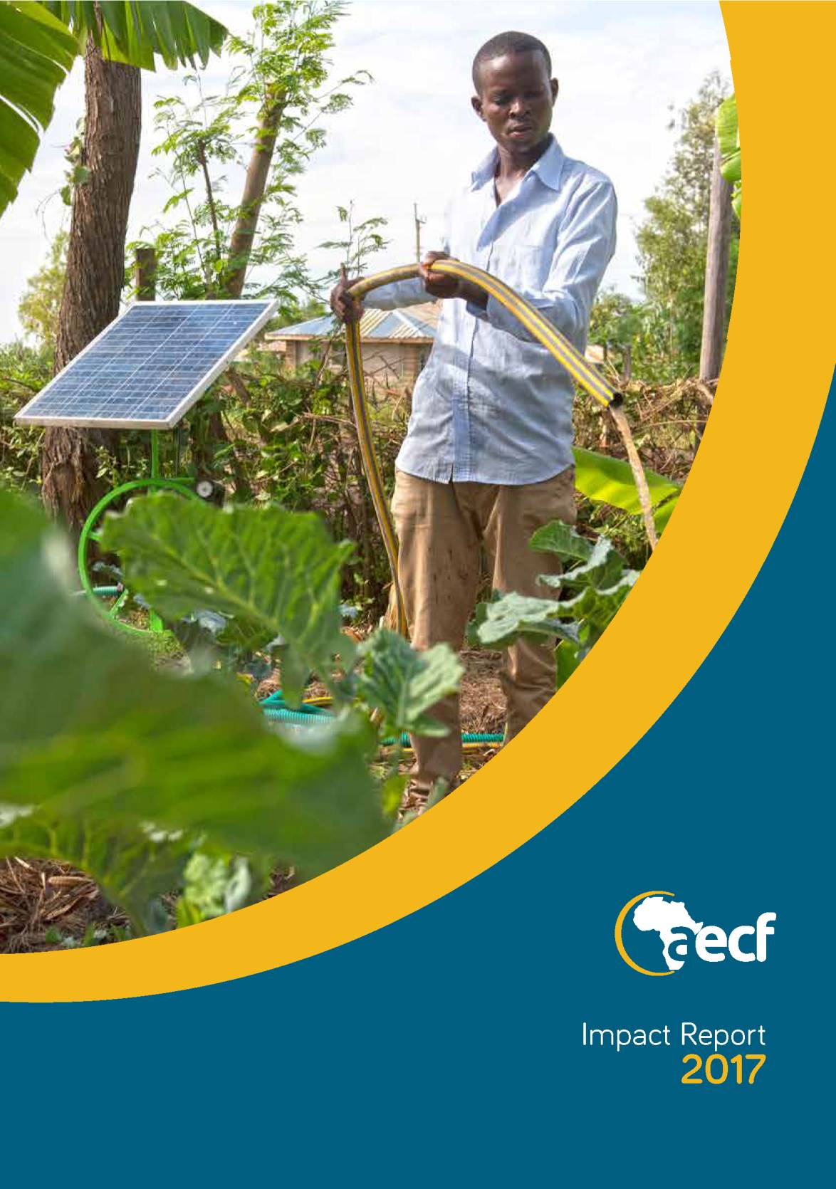 Impact Report 2017 - AECF